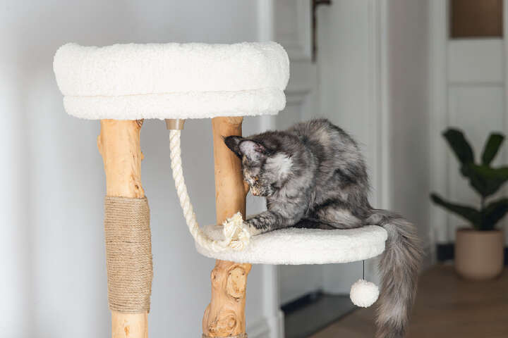 Designed by Lotte Kratzbaum Vanja